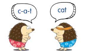 Developing phonemic awareness